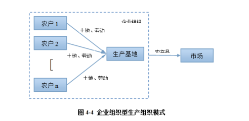 山東理工大學周濤 構建高效一體化組織體系，保障我國城市蔬菜供應鏈安全